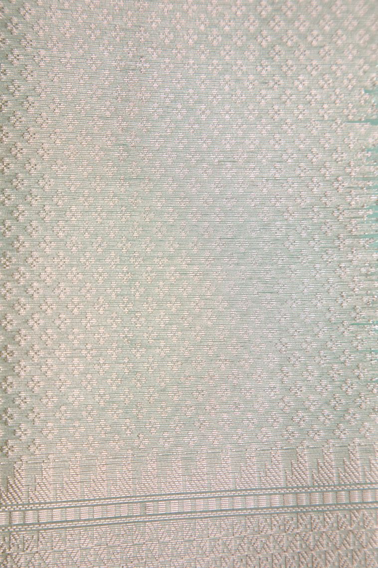 Sky Blue Organza Saree with Copper Zari Floral Patterns view 3