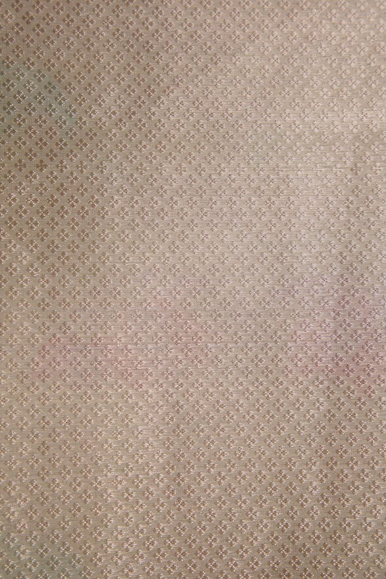 Ivory White Organza Saree with Copper Zari Floral Patterns view 3