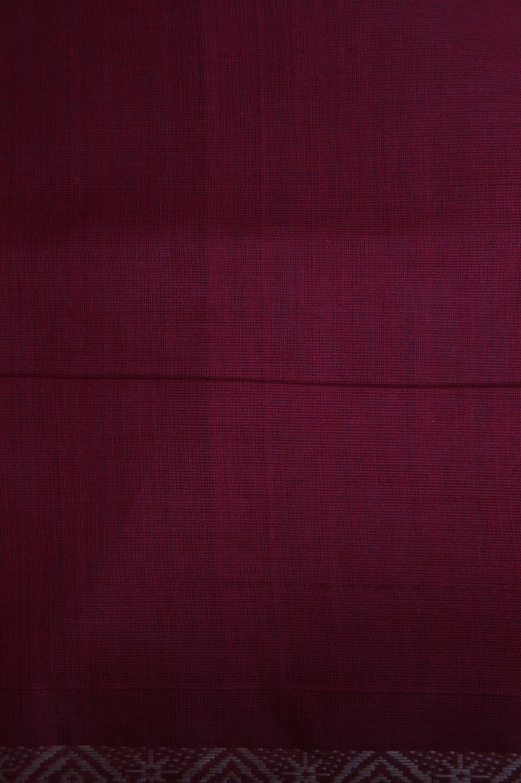 Sky Blue Pure Handloom Kovai Cotton with Without Zari Zari Floral Patterns view 3