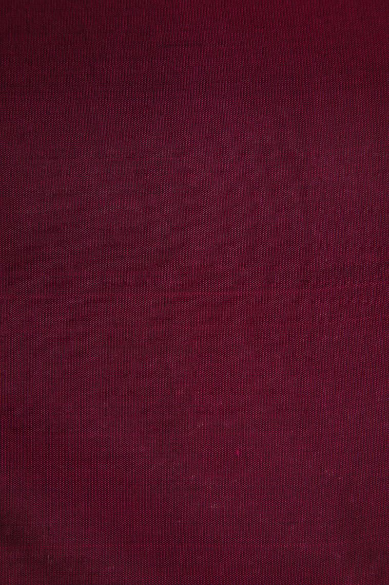 Emerald Green Soft Silk Saree with Silver Zari Annam Rudhratcham view 3