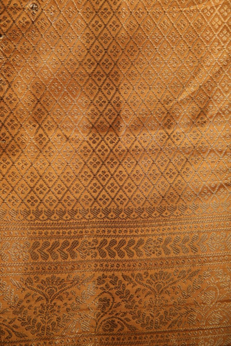 Arctic Blue Semi Raw Silk Printed with Antic Zari Thilagam Puttas view 3