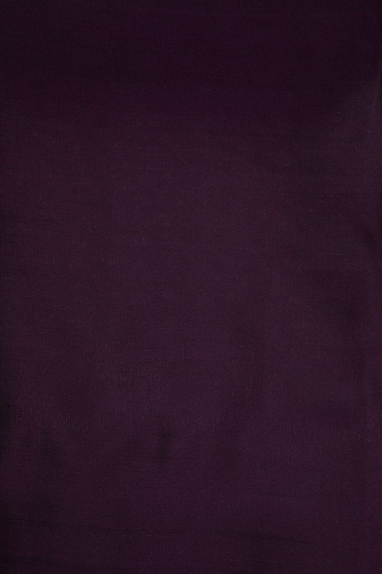 Grape Purple Soft Silk Saree with Silver Zari Floral Patterns view 3