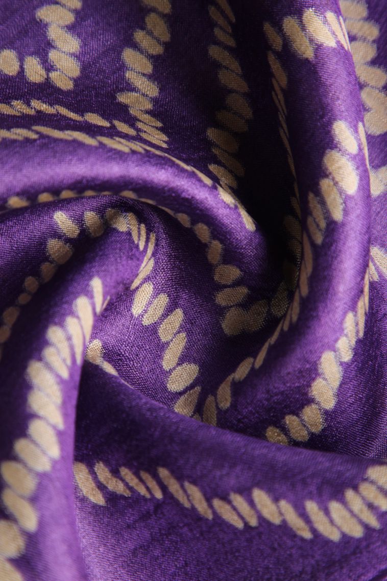 Viola Purple Tussar Saree with Gold Zari Geometric Shapes view 4