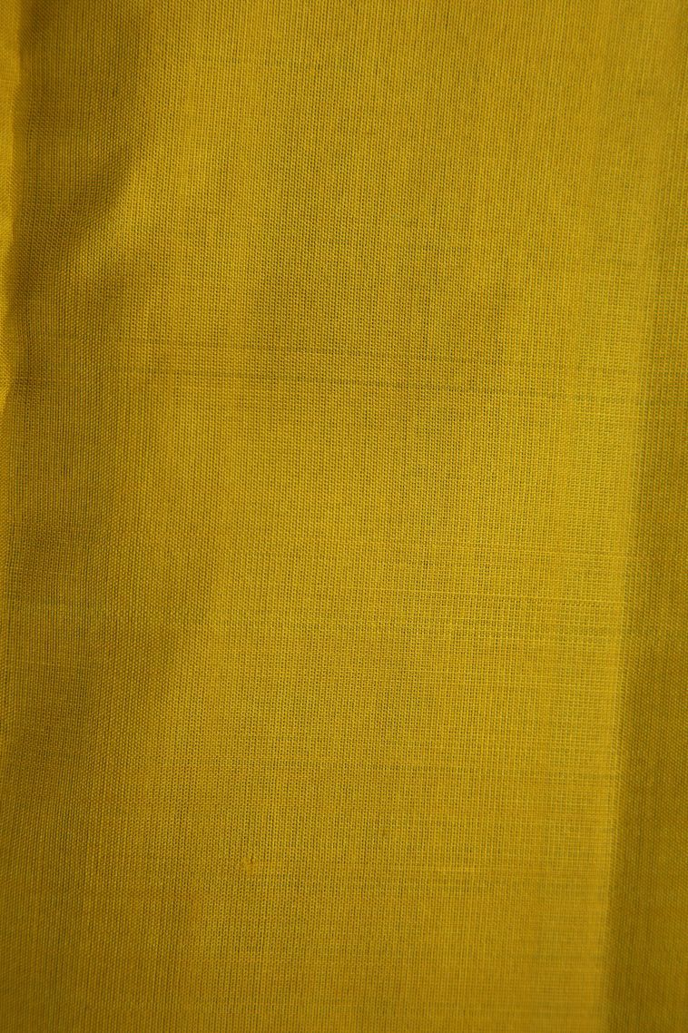 Sapphire Blue Soft Silk Saree with Gold And Silver Zari Floral Patterns view 3