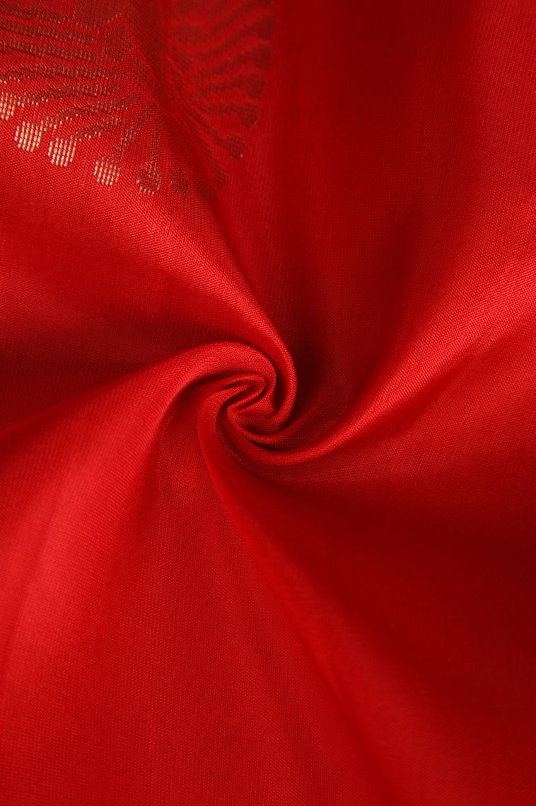 Rose  Red Soft Silk Saree with Copper Zari Floral Patterns view 4