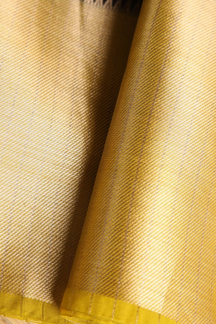 Asphalt Black Fancy Saree with Gold Zari Checks view 4