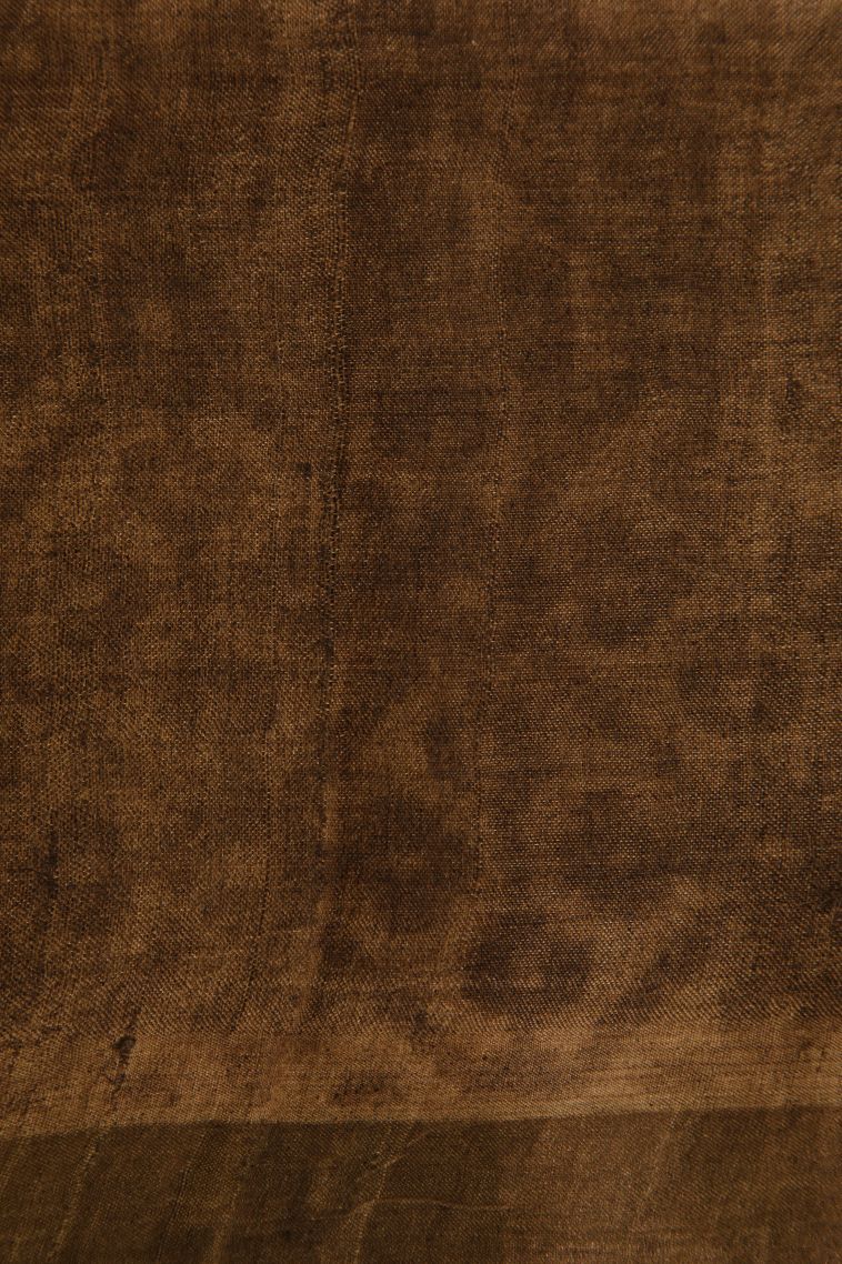 Peanut Brown Tussar Saree with Gold Zari Geometric Shapes view 3