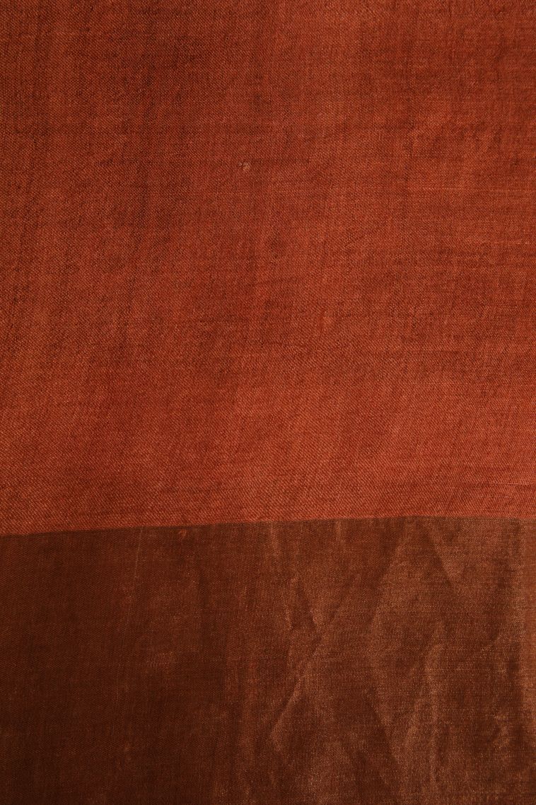 Cinnamon Brown Tussar Saree with Gold Zari Floral Patterns view 3