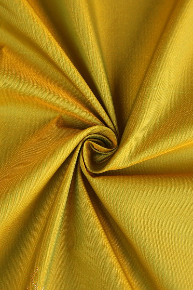 Lime Green Apoorva Silk Sarees with Copper Zari Floral Puttas view 4