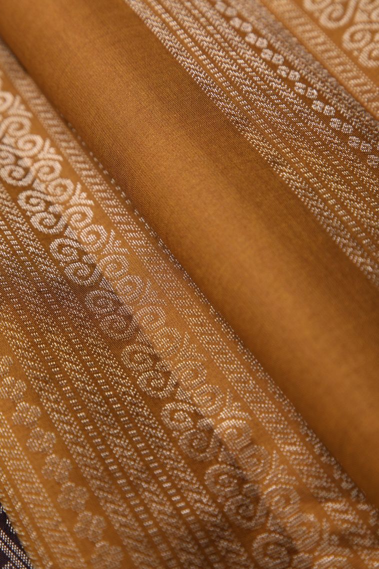 Tawny Brown Soft Silk Saree with Silver Zari Pannel Pattern view 4