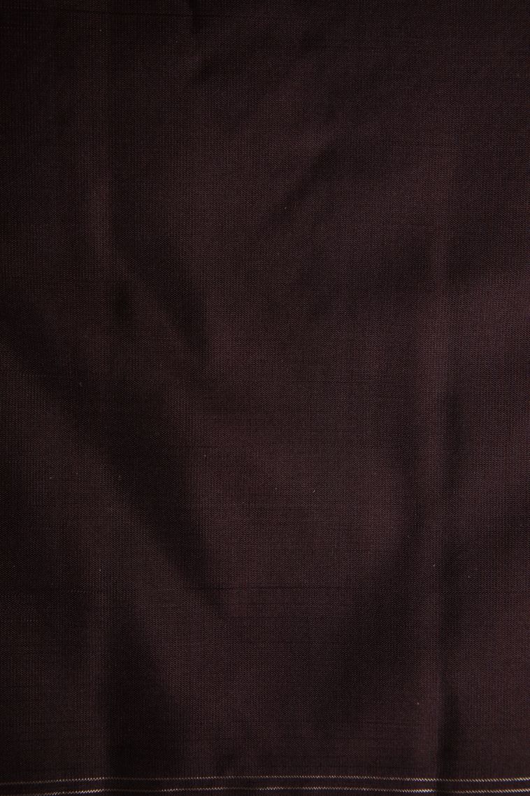 Tawny Brown Soft Silk Saree with Silver Zari Pannel Pattern view 3