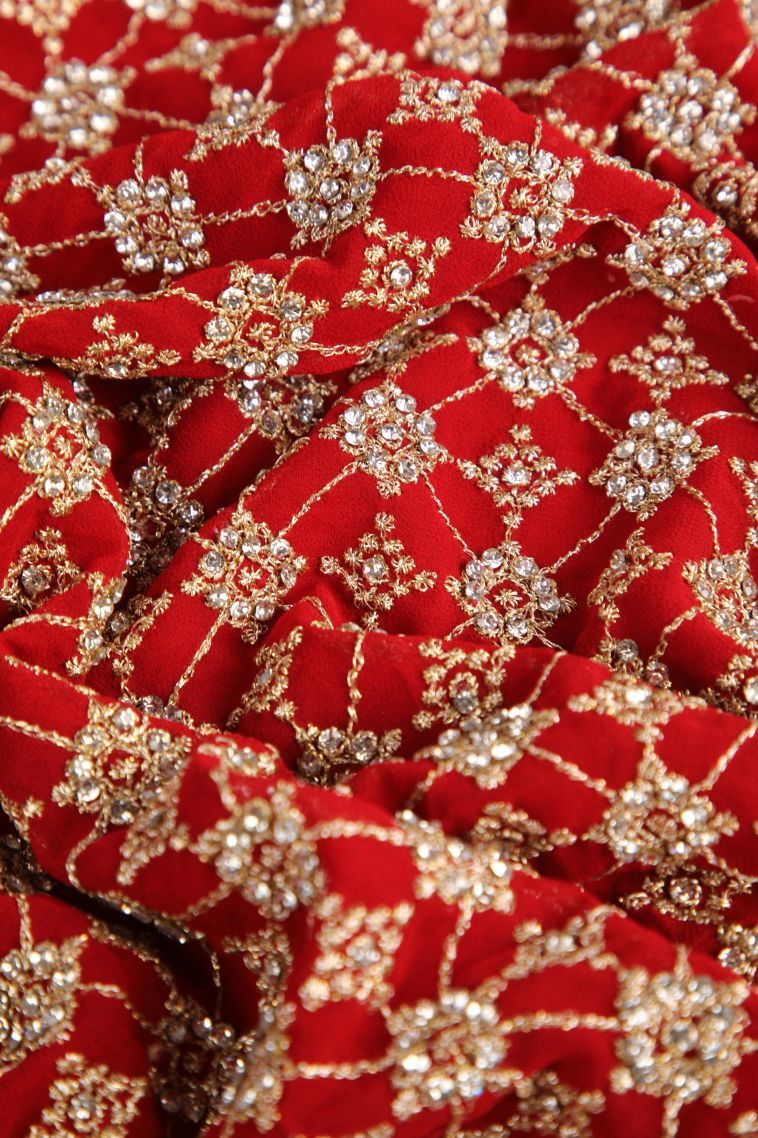 Candy Red Designer Sarees with Gold Zari Stone Work view 4