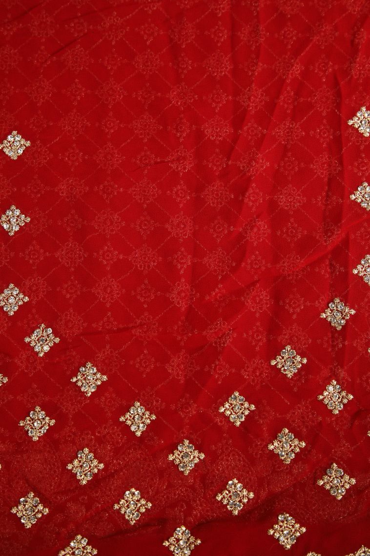 Candy Red Designer Sarees with Gold Zari Stone Work view 3