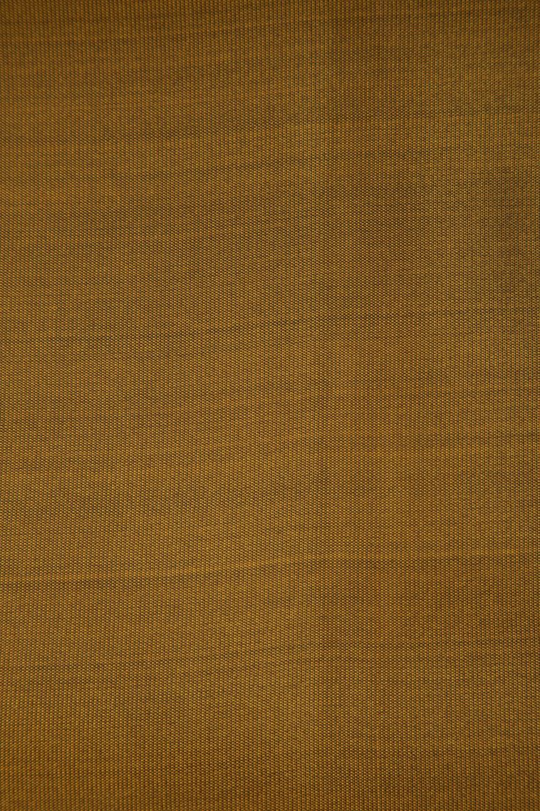 Brunette Brown Soft Silk Saree with Copper Zari Floral Puttas view 3