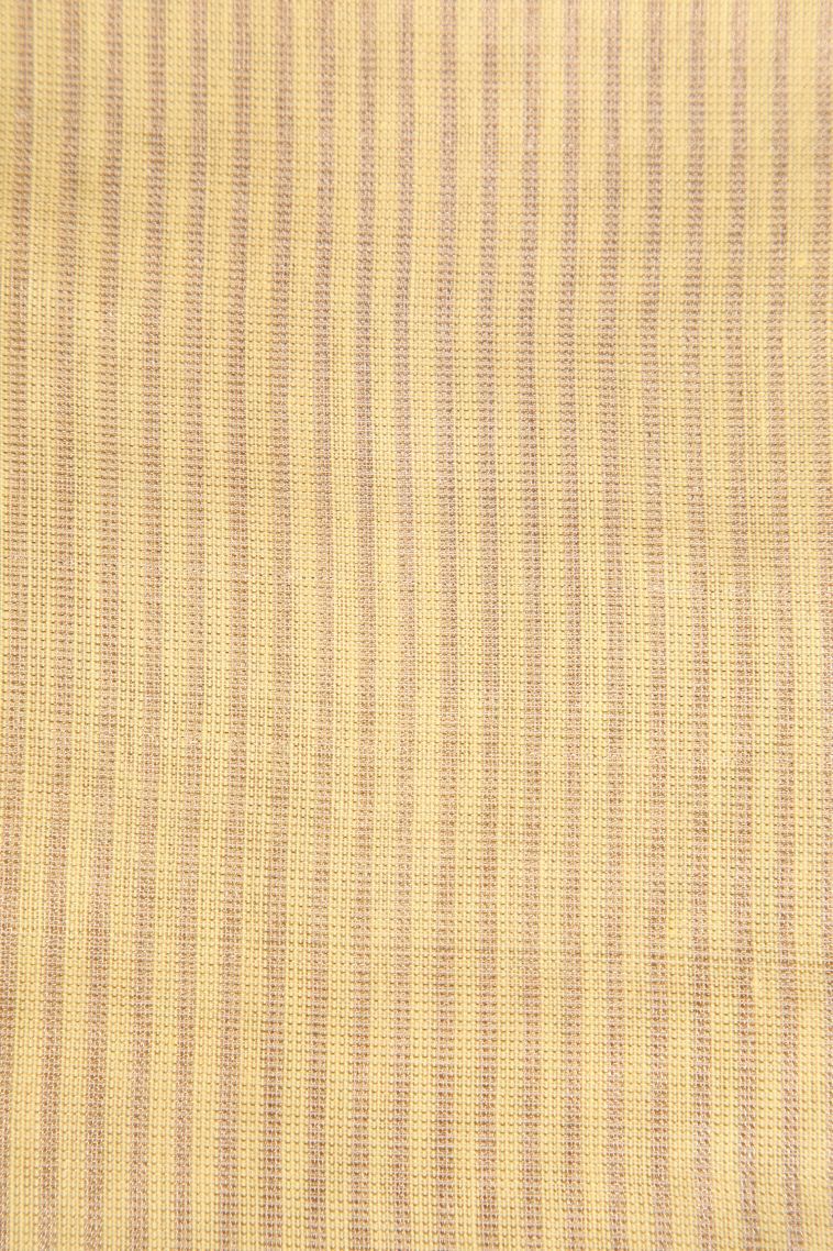 Cookie Yellow Tissue Silk Sarees with Without Zari Zari Plain view 3